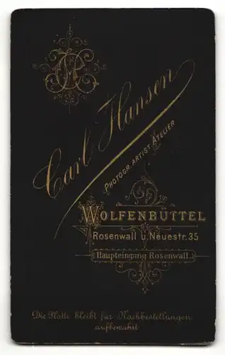 Fotografie Carl Hansen, Wolfenbüttel, Portrait jugne Dame im eleganten Kleid mit Puffärmeln