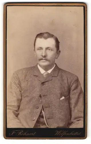 Fotografie F. Röhnert, Wolfenbüttel, Portrait bürgerlicher Herr im Anzug mit Krawatte und Schnurrbart