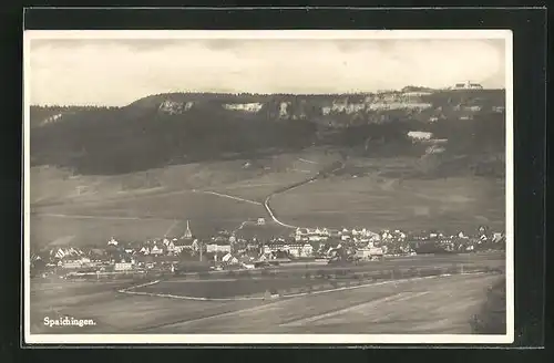 AK Spaichingen, Panorama vom Hügel aus, Kirche
