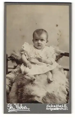 Fotografie Th. Weber, Sebnitz i. S., Baby im Kleidchen auf Pelz sitzend