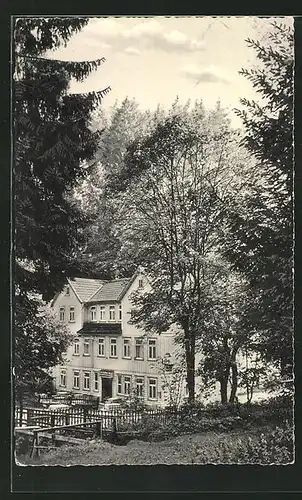 AK Hohegeiss / Hochharz, Blick zum Hotel Wolfsbachmühle