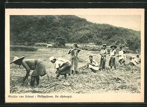 AK Philippinische Bauern bei der Reisernte