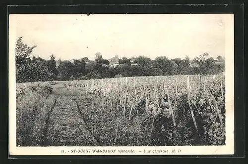 AK St-Quentin-de-Baaron, Vue Generale, Weinreben