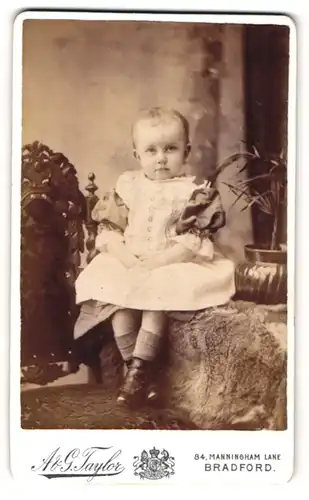 Fotografie A. & G. Taylor, Bradford, Kleinkind in weissem Kelidchen sitzt auf einem Fell neben einer Pflanze
