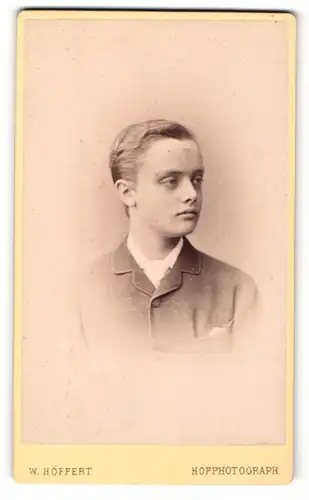 Fotografie W. Höffert, Dresden, Portrait junger Mann im Anzug mit Krawatte