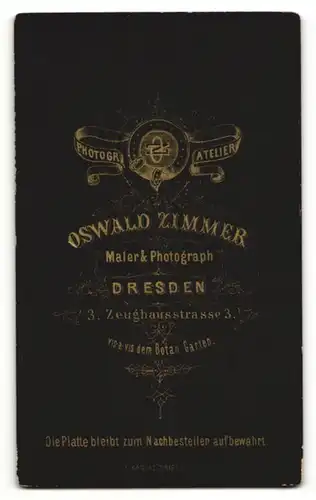 Fotografie Oswald Zimmer, Dresden, Portrait bürgerliche Dame im hübschen Kleid mit Schal