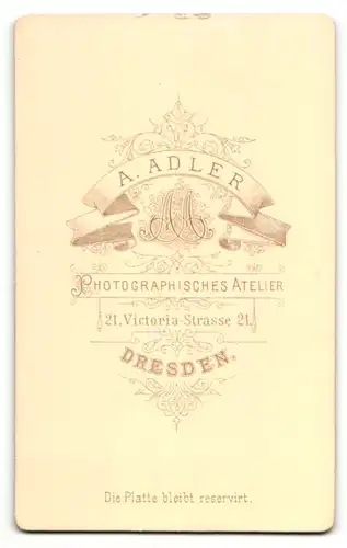 Fotografie A. Adler, Dresden, älterer Herr mit Schnauzbart