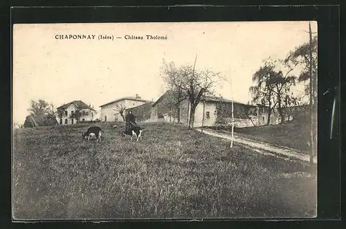 AK Chaponnay, Chateau Tholome