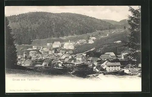 AK Todtmoos, Ortsansicht aus der Vogelschau