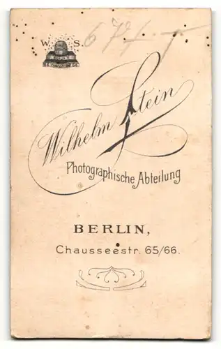 Fotografie Wilhelm Stein, Berlin, Portrait hübsch gekleidet Dame mit Hochsteckfrisur