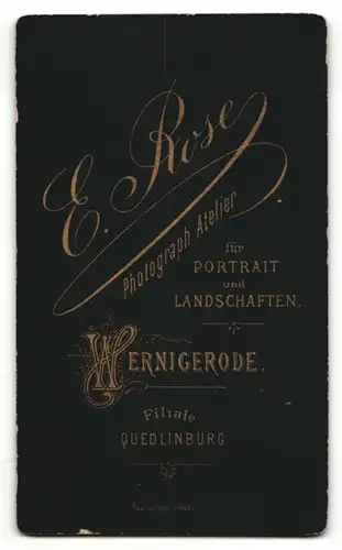 Fotografie E. Rose, Wernigerode, Portrait bürgerlicher Herr im Anzug mit Fliege