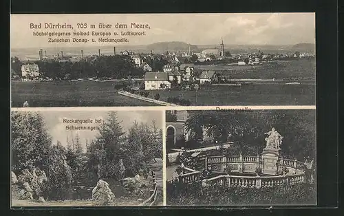 AK Bad Dürrheim, Panorama, Neckarquelle & Donauquelle