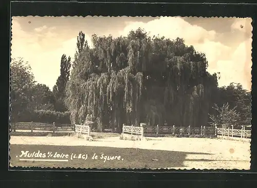 AK Muides-sur-Loire, Le Square