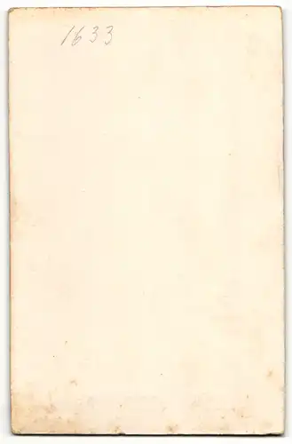 Fotografie Samson & Co., Freiburg i / B., Portrait junge Dame mit zurückgebundenem Haar