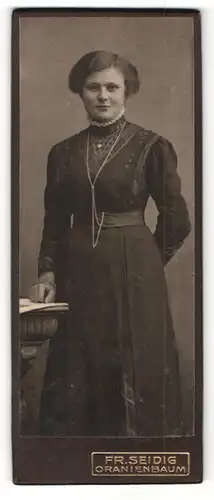 Fotografie Fr. Seidig, Oranienbaum, Portrait charmante Dame im bestickten Kleid