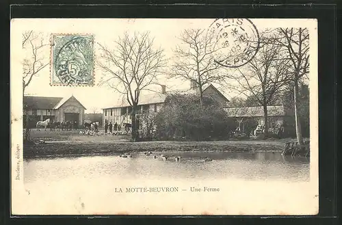 AK Lamotte-Beuvron, Une Ferme