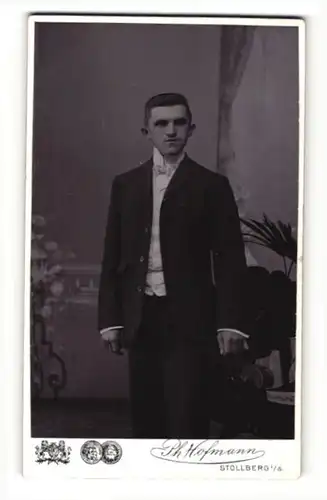 Fotografie Ph. Hofmann, Stollberg i / S., Portrait junger Herr im Anzug mit Fliege
