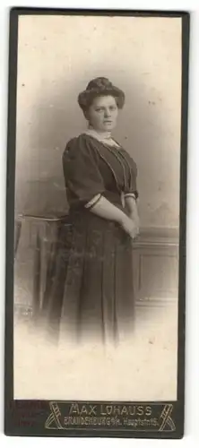 Fotografie Max Lohauss, Brandenburg a / H., Portrait bürgerliche Dame im modischen Kleid mit Dutt