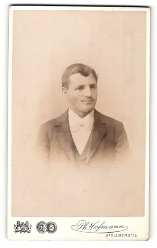 Fotografie Ph. Hofmann, Stollberg i. S., Portrait dunkelhaariger Mann im Anzug