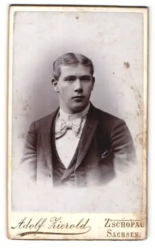 Fotografie Adolf Zierold, Zschopau, Portrait edler Herr mit Fliege im Anzug
