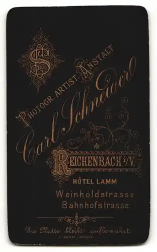 Fotografie C. Schneider, Reichenbach i/V., Portrait Frau in schöner Bluse mit Rüschenbesatz