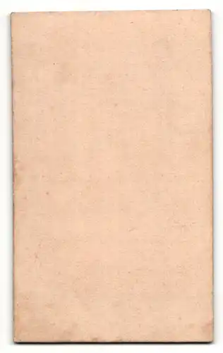 Fotografie Hugo Schubert, Schneverdingen, Portrait Frau in hübscher Bluse