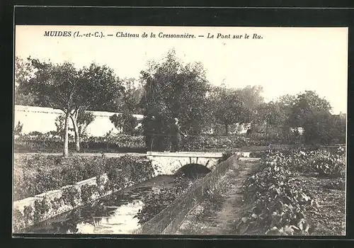 AK Muides, Château de la Cressonnière, Le Pont sur le Ru