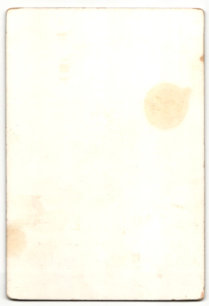 Der Artikel mit der oldthingid 38123707 ist aktuell ausverkauft.