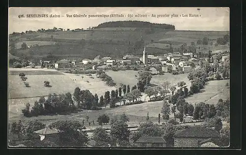 AK Sevelinges, Vue Générale panoramique, Ortsansicht