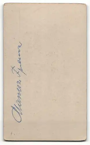 Fotografie F. E. Bednarik, Wien, Portrait eleganter Herr im Anzug mit Fliege