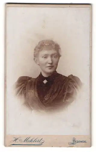 Fotografie H. Mehlert, Itzehoe, Portrait junge Dame im eleganten Kleid mit Puffärmeln