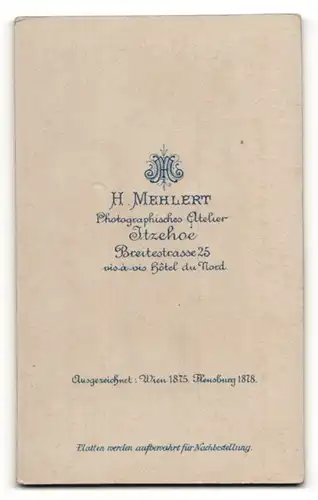 Fotografie H. Mehlert, Itzehoe, Portrait junge Dame im eleganten Kleid mit Puffärmeln