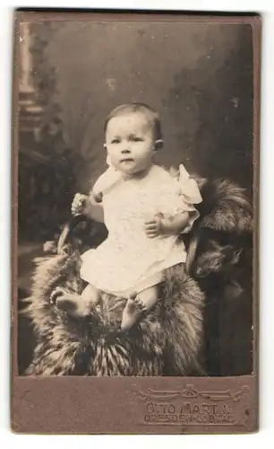 Fotografie Otto Martin, Dresden-Löbtau, Süsses Kleinkind sitzt auf einem Fell