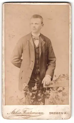 Fotografie Atelier Friedemann, Dresden, Portrait junger Herr mit Fliege im Anzug