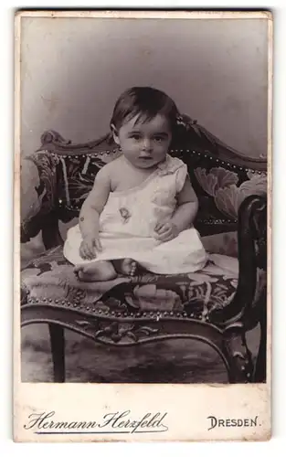 Fotografie Hermann Herzfeld, Dresden, Niedliches Kleinkind auf einem Polsterstuhl