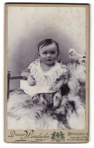 Fotografie Bruno Wendsche, Dresden N., Kleinkind in weissem Kleidchen auf einem Fell