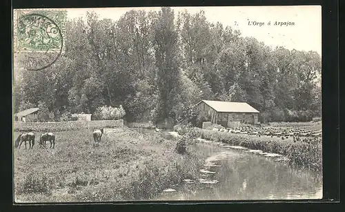 AK Arpajon, L`Orge, Partie am Fluss