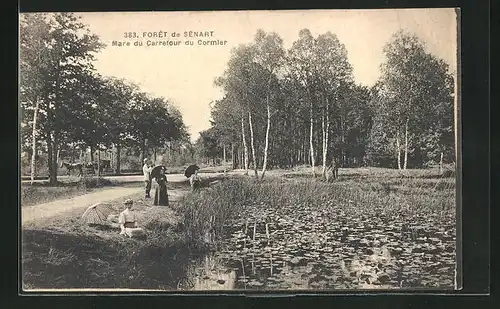 AK Sénart, Forêt de Sénart - Mare du Carrefour du Cormier