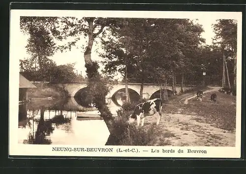 AK Neung-sur-Beuvron, Les bords du Beuvron