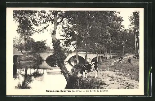 AK Neung-sur-Beuvron, Les bords du Beuvron