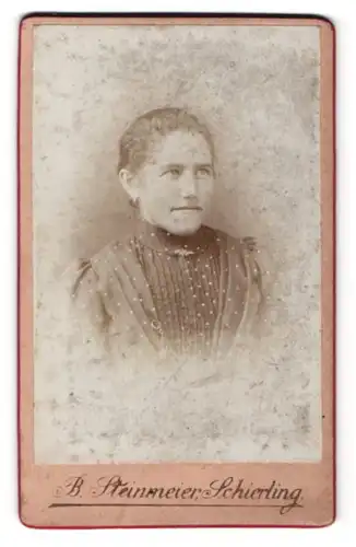 Fotografie B. Steinmeier, Schierling, Portrait schönes Fräulein mit Brosche am Blusenkragen
