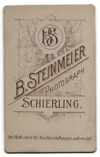 Fotografie B. Steinmeier, Schierling, Portrait blondes Fräulein in bedruckter Bluse