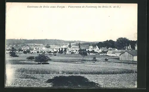 AK Fontenay les Briis, Panorama