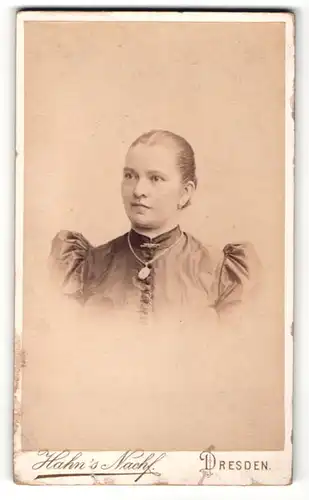 Fotografie Hahn`s Nachfolger, Dresden, Portrait Dame mit Puffärmeln