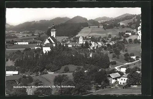 AK Waldhausen, Panorama mit Schlossberg