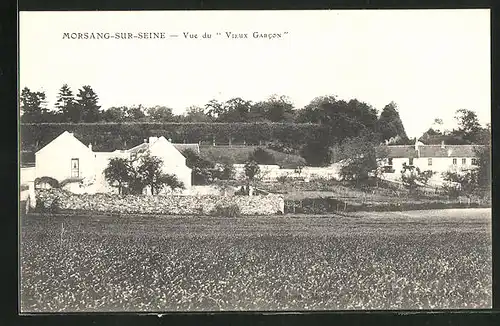 AK Morsang-sur-Seine, Vue du Vieux Garcon