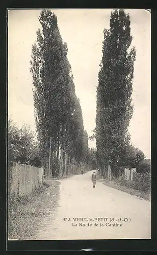 AK Vert-le-Petit, La Route de la Cantine