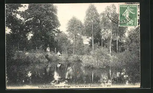 AK Villemoisson-sur-Orge, la Mare aux Grenouilles