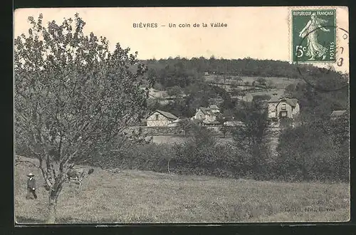 AK Bievres, Panorama