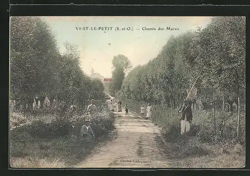 AK Vert-le-Petit, Chemin des Marais